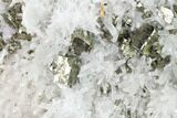 Cubic Pyrite and Quartz Crystal Association - Peru #142648-2